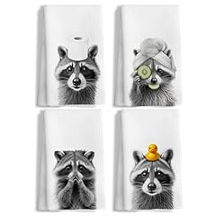 Raccoon-set of 4