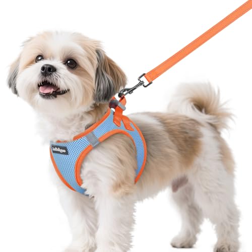 rabbitgoo Step-In Harness & Leash Set (Light Blue & Orange, Small)