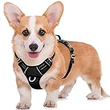 BARKBAY No Pull Dog Harness Large Reflective Dog Harness with Front Clip and Easy Control Handle for...