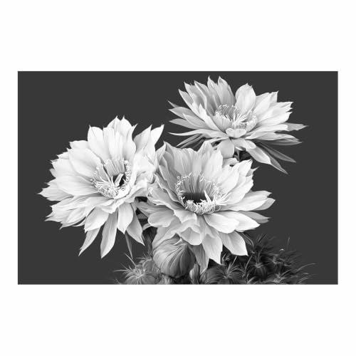 Peinture sur toile cactus noir et blanc pour habiller un grand mur vide de bureau