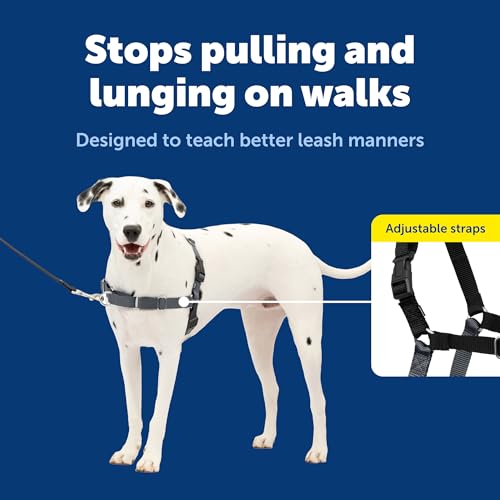 PetSafe Easy Walk Hundegeschirr, kein Ziehen, perfekt für Leinen- und Geschirr-Training, verhindert, DASS Haustiere bei Spaziergängen ziehen und ersticken – Größe M/L, Anthrazit/Schwarz