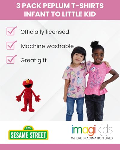 Sesame Street 3 Pack T-Shirts Infant to Little Kid Sizes (12 Months - 6-6X)2