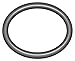 O-Ring,Dash 389,Viton,0.21 in.