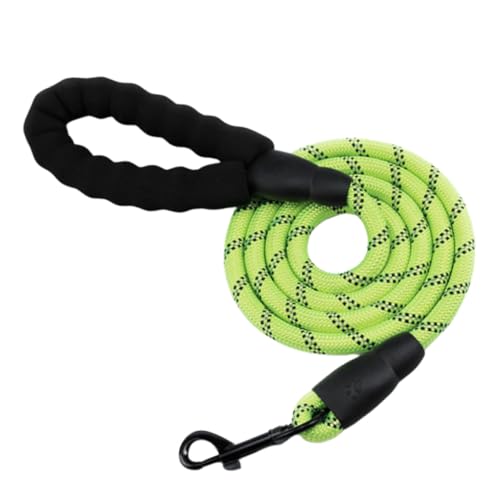 LOLIPPYY ybgp˕t[v iCی^g[jOXgbv yʑϋv pR U WMO L _J[