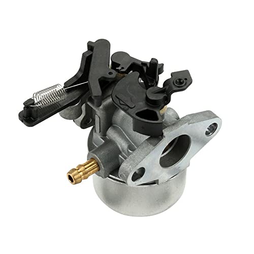 BEIYIPARTS Carburetor for Craftsman Troy Bilt 190cc Pressure Washer with Briggs Stratton 593380 799447 594287 217200 110P02 0018 F1 110P05 0002 F1 112P02-0116-B1 112P02-0116-H1 0113 F1 111P02 0114 F1