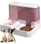 kathson All-in-One Automatic Cat Feeder and Water Dispenser Set Gravity Cat Food and Water Bowl S...