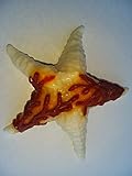 CERERIA ERMINI