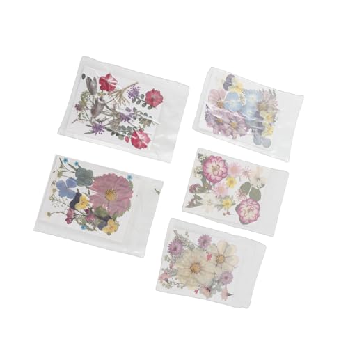 100 flores prensadas secas para manualidades variadas miniatura 6