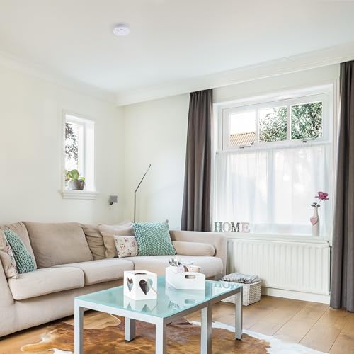 Smartwares Rauchmelder - Optischer Sensor - TÜV geprüft - Auswechselbare Batterie 5 Jahre - Testtaste - 85 dB - FSM-11510