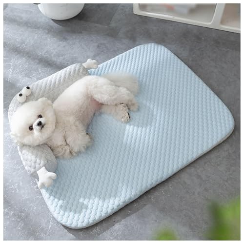 ybgxbh  nCGhwhbOxbhAtA􂦂 ΍ ACXVNn xbh  NbV  ybg ⊴}bg L N[}bg pxbh,Blue-M