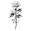 Flower-L9