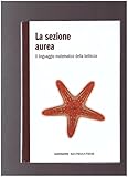  sezione aurea il linguaggio matematico della bellezza