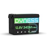 Dyness Batteria Litio 12V 340Ah LiFePO4 a Ciclo profondo con 200A BMS, Protezione Dalle Basse Temperature, Max. 15000 cicli, per Camper, Impianti Solari off-grid, Fotovoltaico Accumulo