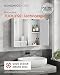 SONGMICS HOME Spiegelschrank, Badezimmerschrank, superschnelle werkzeuglose Montage, Toolless-Technologie, Badspiegel, verstellbare Ablagen, modern, 15 x 60 x 55 cm, schneeweiß BBC114WE01