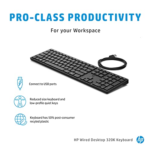 Image of HP 320K Wired USB Desktop Keyboard with Height Adjustment (9SR37AA)