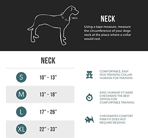image for EzyDog Checkmate Martingale-Style Premium Nylon Safety Training and Co