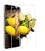 Produktbild FMU [2 Stück] Panzerglas Schutzfolie für iPhone 11 Pro Max/XS Max, 2.5D Double Defense Series Displayschutzfolie, Anti-Kratzen, Anti-Öl, Anti-Bläschen, Hülle Freundllich [6.5 Zoll]