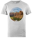 Zion National Park Conservation Camiseta Gris para Hombre Camiseta Masculina Regular