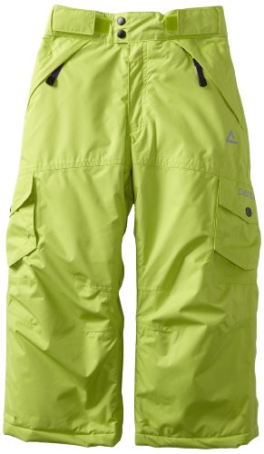 Dare 2b Kids Swtich Over Ski Pants - Lime Zest, Size 3-4 - Image 3