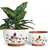 YBX 8 Inch & 6 Inch Terracotta Plant Pots, Flower Pots for Indoor Plants with Drainage, Planters with Floral Accent for Indoor Plants (French Country)