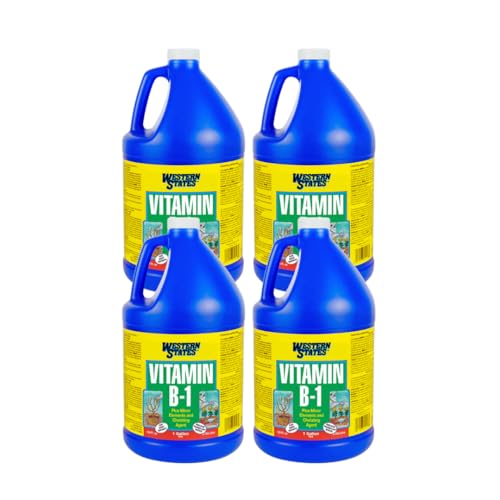 Western States Vitamin B-1 Plant Solution 1 Gallon 4-Pack Root Growth Promoter Transplant Stress Reducer