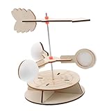 FUNNETOYU DIY Windrichtungsanzeiger Bausatz für Kreatives Wetterspielzeug mit Präziser...