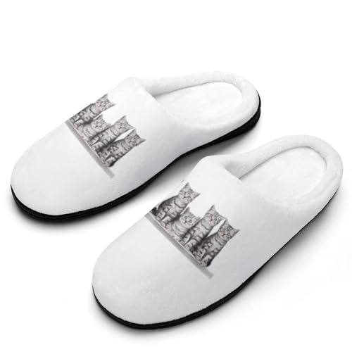 [NBKING] Xbp 5C lR L L 킢 [V[Y  qp h g ~  jp ItBX gC Jbv y p E I[V[Yp 7-8i40-41j