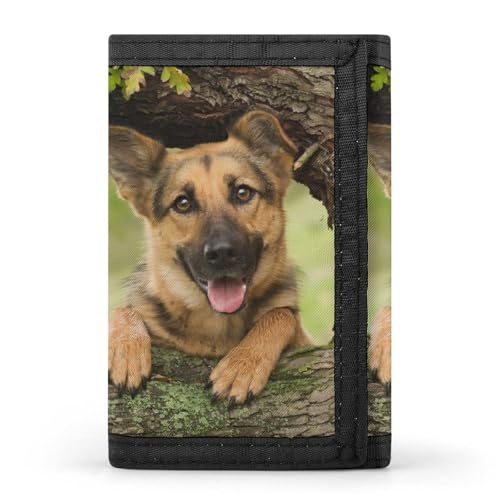 [YINGDAB] O܂z u eA  ~jz J[hP[X z D fB[X Y J[h K Wallet  RpNg e ^ v[g