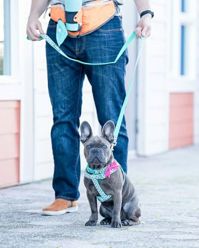 Blueberry Pet Step-in Dog Harness Velvety Heart Flocking Valentine’s Day Adjustable Harnesses for Small Dogs, Mint Green, Chest Girth 16.5" - 21.5" - Thumbnail 5