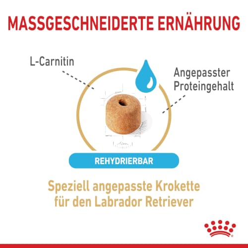 ROYAL CANIN Labrador Retriever 5+ Trockennahrung für Hunde – 12 kg