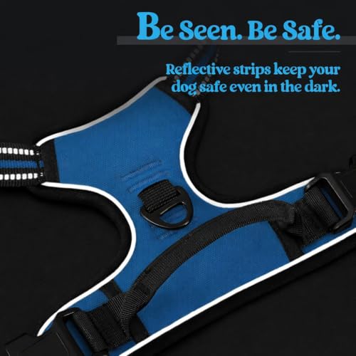 Image of Lyrovo Adjustable No-Pull Dog Harness with Leash Set for Small, Medium & Large Dogs - Reflective, Breathable, Comfortable Vest Harness for Training & Walking (Blue, S (4-13Kg))