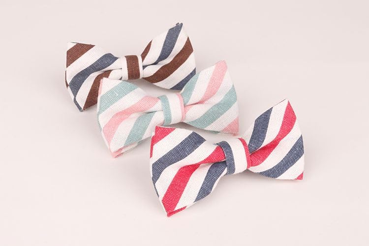Flairs New York Little Gentleman's Kids Bow Tie (Red White Blue [Baber Pole])3