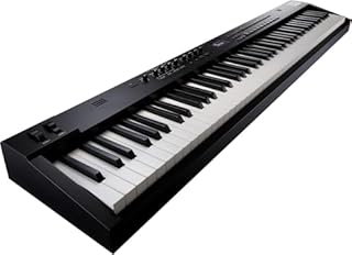 Roland RD-88 EX Stage Piano | 88-Note Keyboard with Expanded Sounds & Supreme Durability | SuperNATURAL Technology | ZEN-Core Engine with Over 3000 Onboard Sounds | Onboard Stereo Speakers