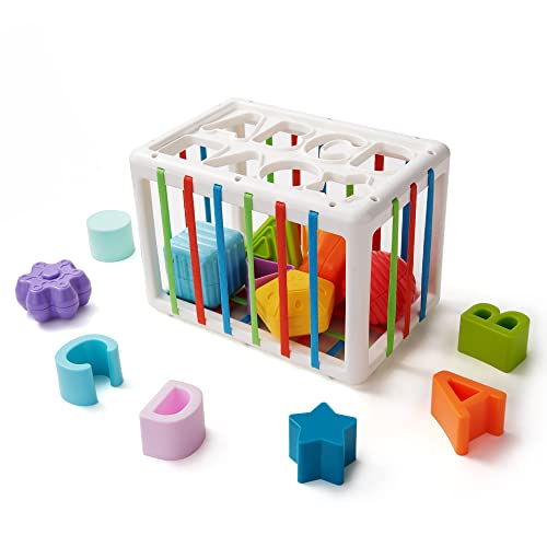 Likee Montessori Toys For 1+ Year Old, Shape Sorter Baby Toys For Boys Girl Birthday Gift, Colorful One Year Infant Toddler Toy, 10Pcs Sensory Blocks Developmental Learning &Fine Motor Skill 18+ Month #TOP4