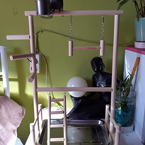 Jaquiain Parrots Playground,Natural Wooden Parrot Perch Gym Play Stand Parakeet With Cups And Toys Exercise Play #TOP5