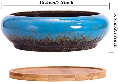 ARTKETTY Succulents Plants Artificial - 7.3 Inch Large Potted Fake Succulent Plants for Home Office Desk Decor, Realistic Faux Succulents in Glazed Ceramic Pots