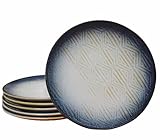8" Stoneware Coupe Appetizer Plates with Reactive Glaze Finish, Dishwasher Microwave Oven Safe, for Salad, Dessert, Steak, Pasta (set of 6) (8" reactive glaze plates)