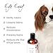 Eye Envy Tear Stain Remover Solution for Dogs. 100% Natural, Safe. Treats The Cause of Stains. Recommended by AKC Breeders, Vets, Handlers, Groomers. Contains Colloidal Silver. 4 oz. Made in USA