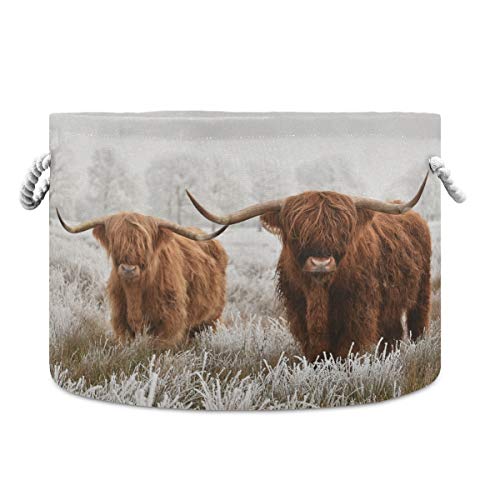 Image of Scottish Highland Cow Cotton Rope Basket, XXX Large Collapsible Storage Basket for Toys, Pillows, Blankets in Living Room, Laundry Room, Bathroom, Home Decor