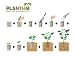 Plantho – Semilleros biodegradables de Papel Reciclado, sin trasplantar, orgánicos y ecológicos....