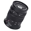 Macro Half Frame Lens, 60mm F2.8 II E Mount Half Frame Macro Lens Camera Handmatige Focus Lens met 9 Diafragmabladen…