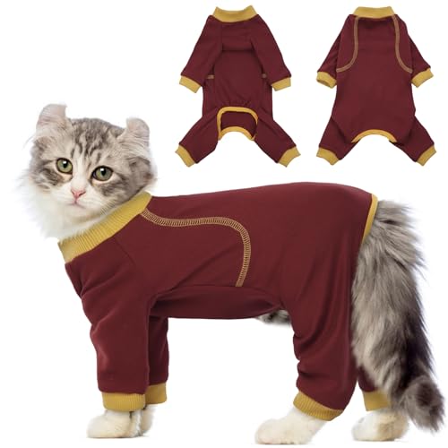 QBLEEV XeBbL[wA L є̔тh Lp qLpW} RX`[ 풅 p[eB[ ʐ^Bep Eіh~ LW[ 񕜃X[c L܂͏^p