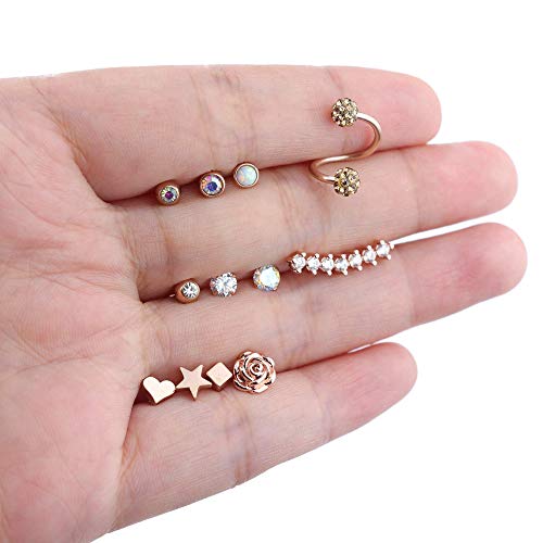 Subiceto 12 Pairs Stainless Steel Barbell Earring For Men Women Cartilage Helix Ear Piercings Tragus Ball Studs Rose Gold-Tone #TOP5