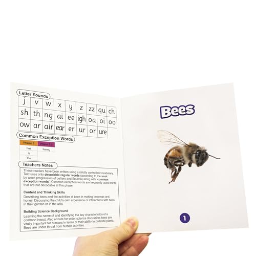 Letters & Sounds Science coffret décodable pour surmonter le blocage lecture - 5