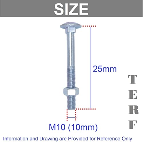 TERF® M10 X 25mm Cup Square Carriage Bolt and Nut M10 (10mm) X 25mm Coach Bolts with Hexagon Nuts - Pack of 4 - Image 3