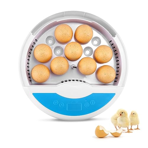 10 Best Small Chicken Egg Incubators for a Perfect Hatch! Furry Folly