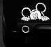 MICKEY MOUSE Decal Car Truck Bumper Window Sticker