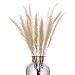 Produktbild HUAESIN 30 Stück Natürliche Pampasgras Getrocknetes Pampas Gras Deko Getrocknet Blumen Trockenblumen Weiß Künstliche Pampasgras Klein Schilfgras für Hochzeit Hause Party Fotografie Vase Deko 45cm