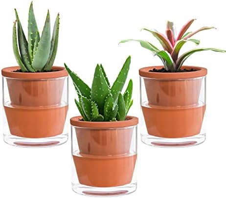 D'vine Dev 4 Inch Design Self Watering Pot for Indoor Plants, Terracotta Planter with Cylinder Glass Cup, Set of 3, 372-A-3