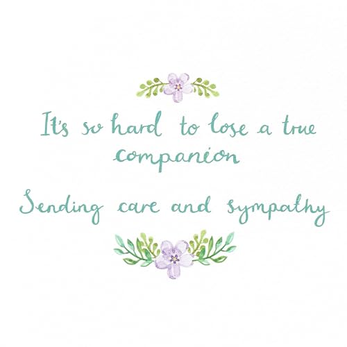 Image of Papyrus Pet Sympathy Card (A True Companion)